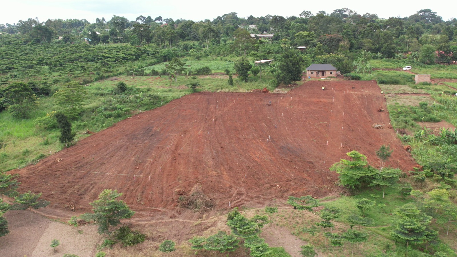 BULIMU PHASE 2