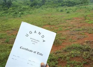 Land Title Processing